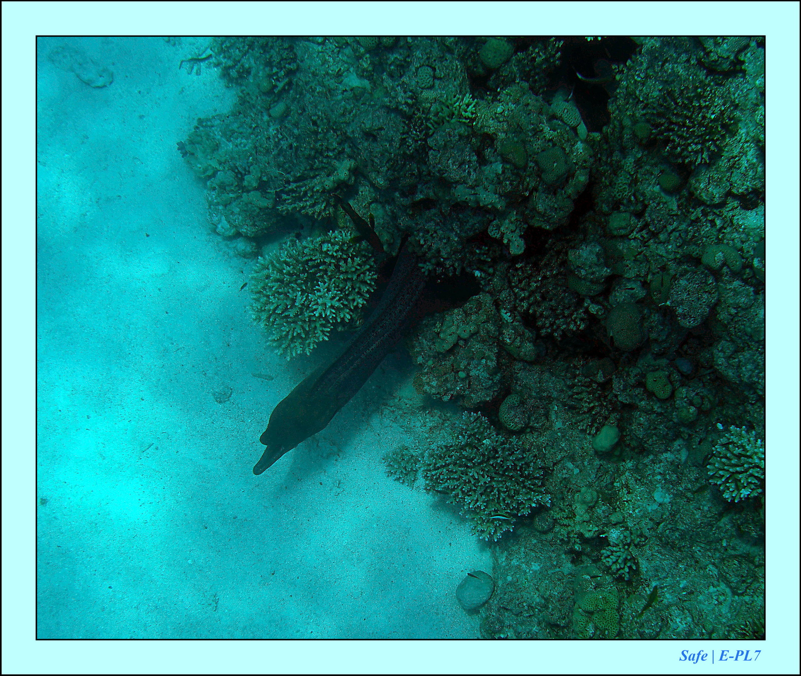 Hurghada - Aout 2021 - 016